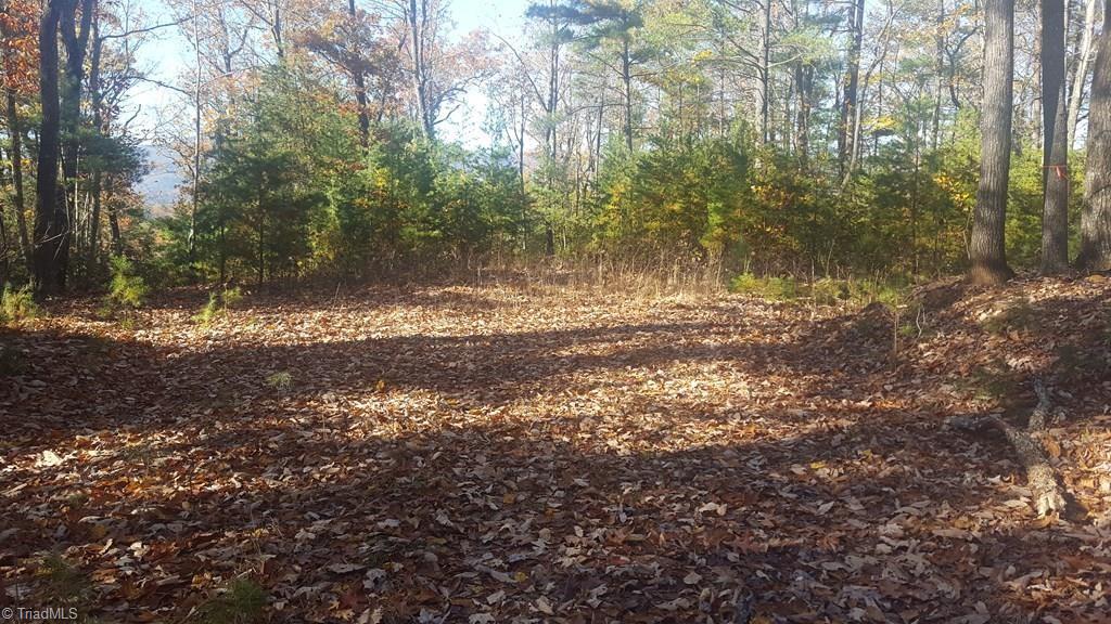 Tbd Casey Mountain Road Purlear, NC 28665 - Photo 7 of 13