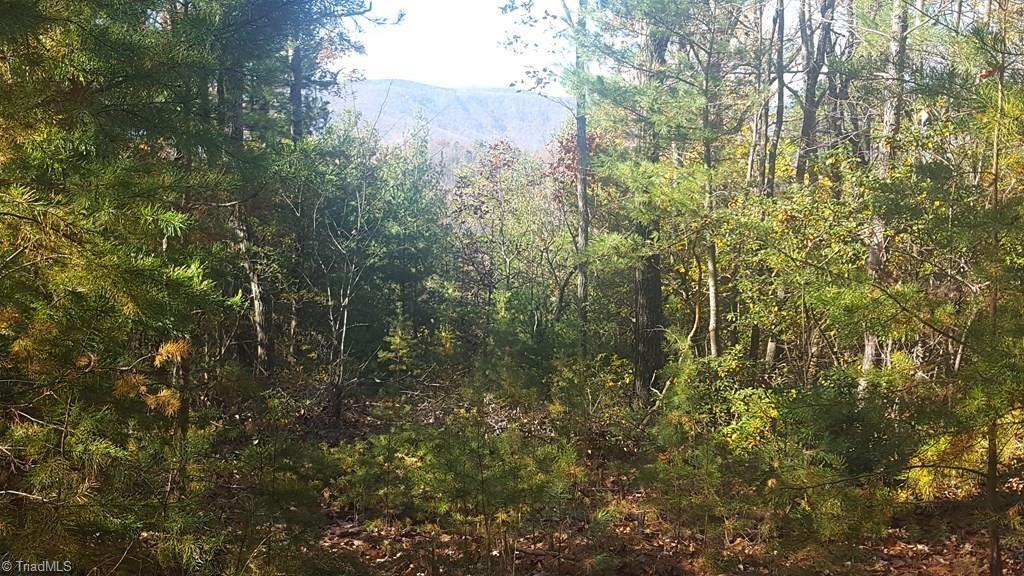 Tbd Casey Mountain Road Purlear, NC 28665 - Photo 8 of 13