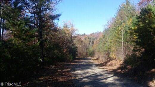Tbd Casey Mountain Road Purlear, NC 28665 - Photo 9 of 13