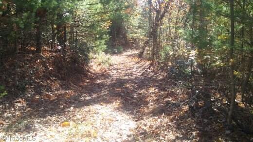 Tbd Casey Mountain Road Purlear, NC 28665 - Photo 10 of 13