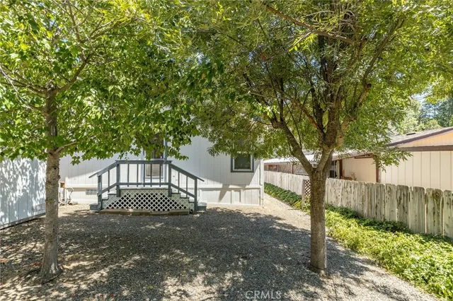 a view of a yard with plants and trees