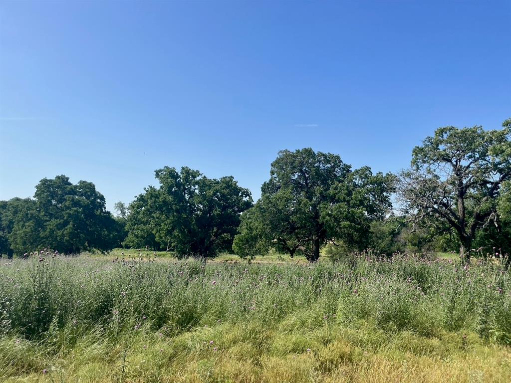 Lot 75 Kilkenny Road Poolville, TX 76487 - Photo 2 of 9