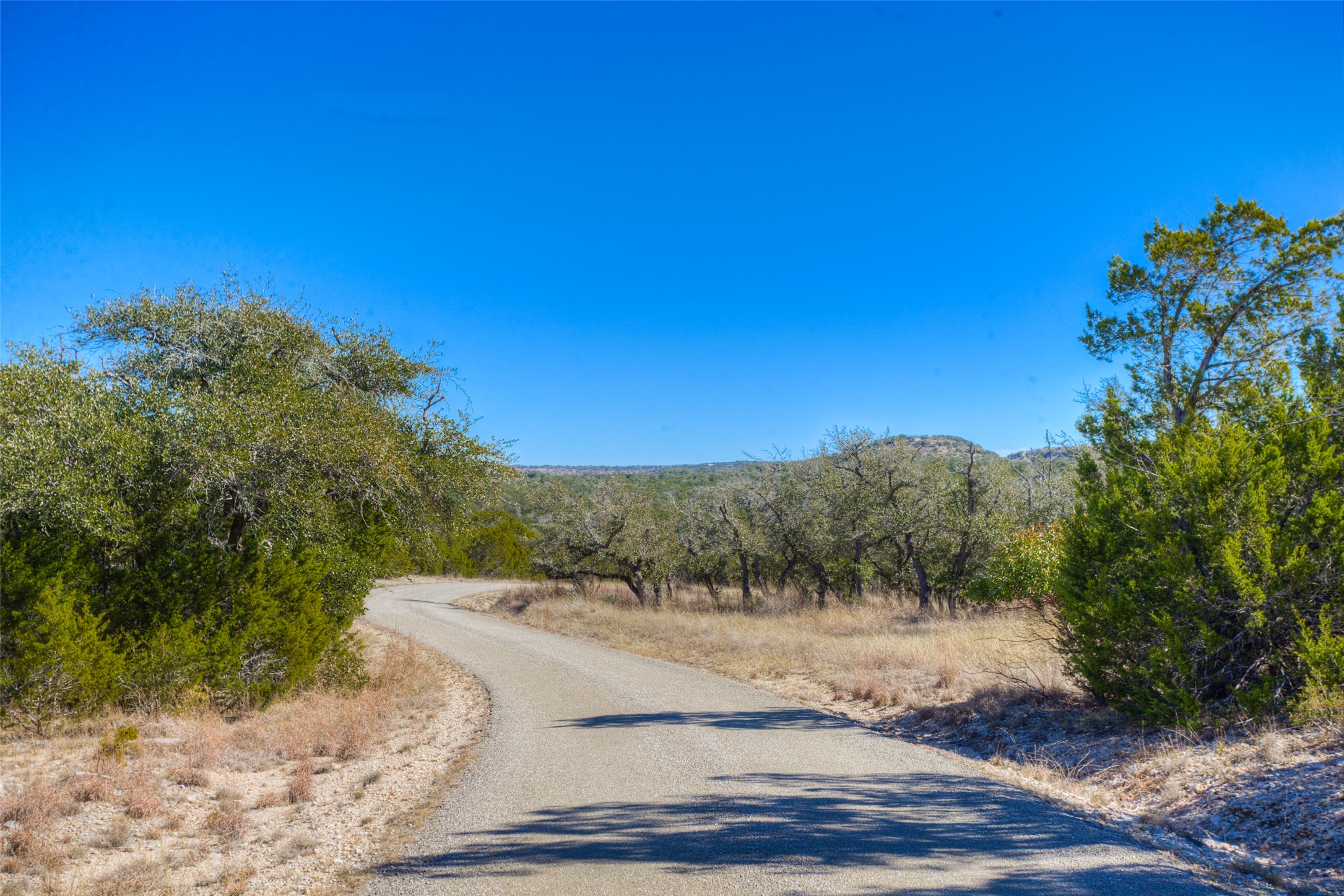 3777 Middle Creek Road Blanco, TX 78606 - Photo 4 of 40 View of road and