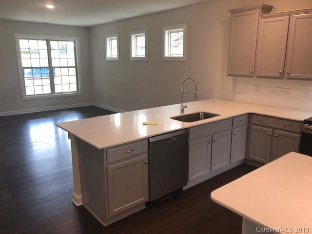 13234 Caite Ridge Road, Unit 190 Davidson, NC 28036 - Photo 6 of 27 Gallery Image 6