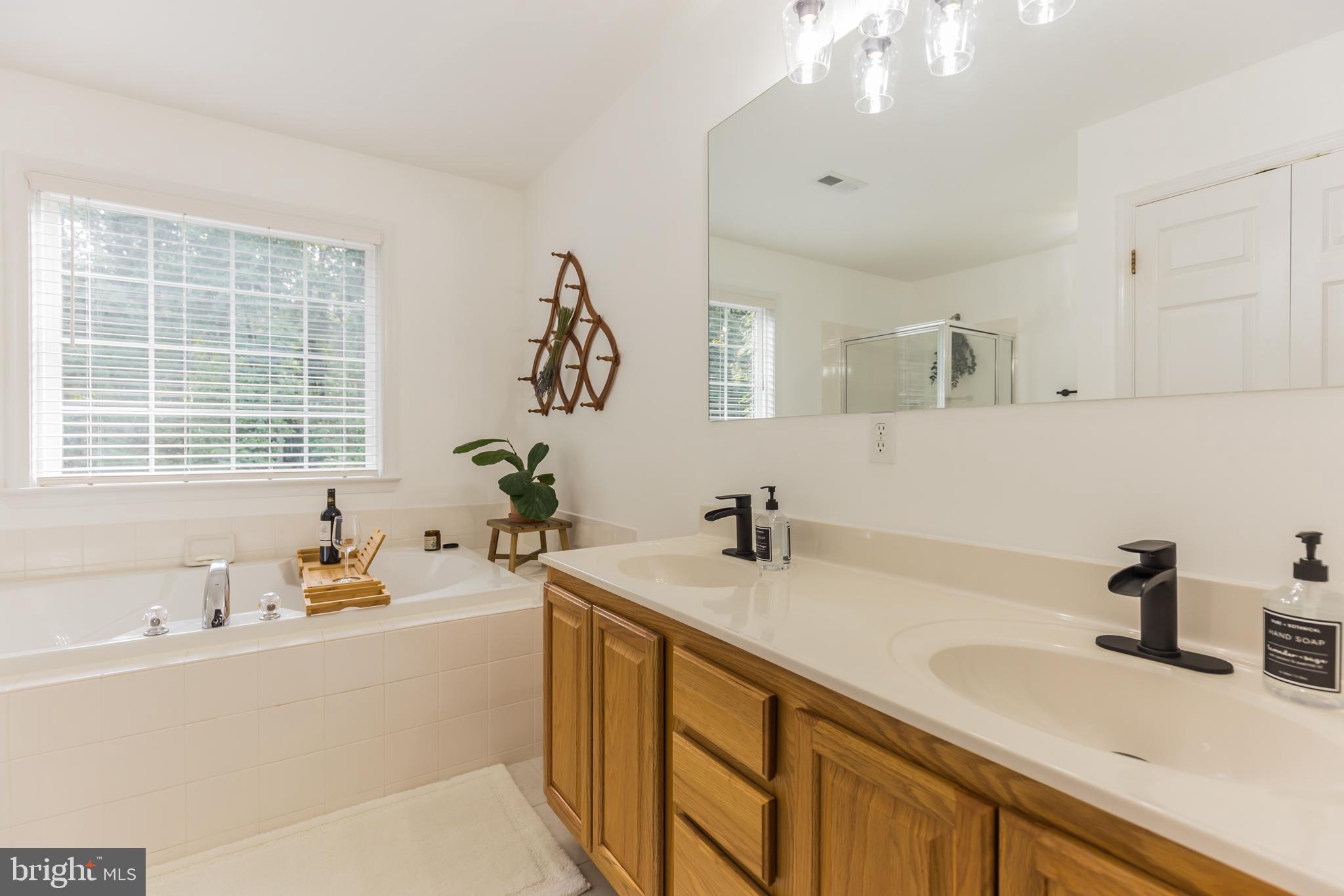 11598 Big Sandy Run Road Lusby, MD 20657 - Photo 23 of 30 a bathroom with a sink and a bathtub