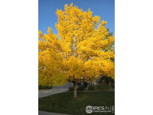 $520,000 | 11392 Ebony Street, Firestone, CO 80504