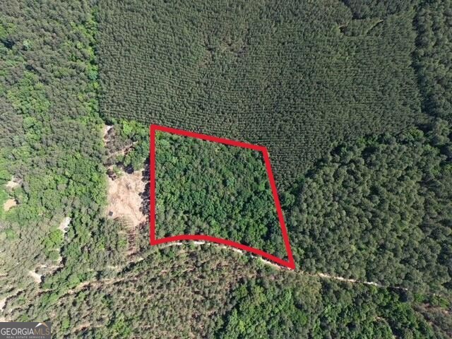 580 Saggus Road Washington, GA 30673 - Photo 3 of 54
