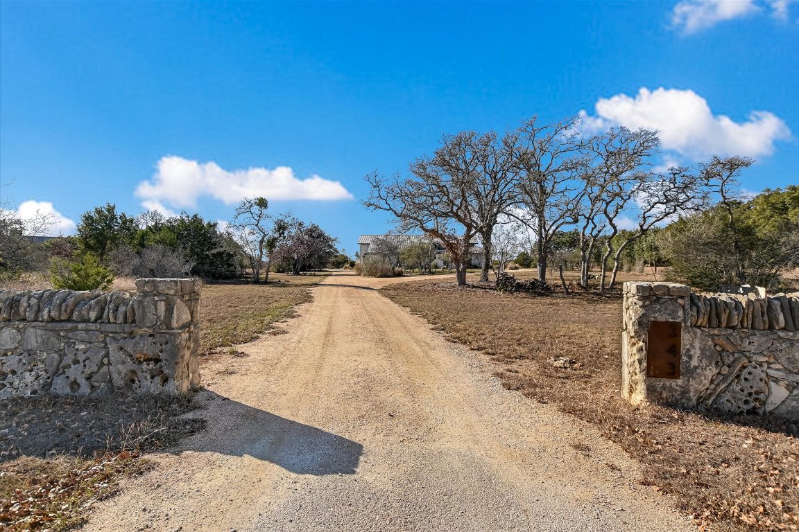 343 Pug Rippy Road Dripping Springs, TX 78620 - Photo 2 of 33 a view of road and trees