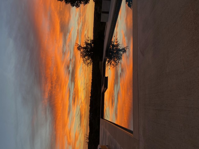 343 Pug Rippy Road Dripping Springs, TX 78620 - Photo 31 of 33 a view of an ocean beach