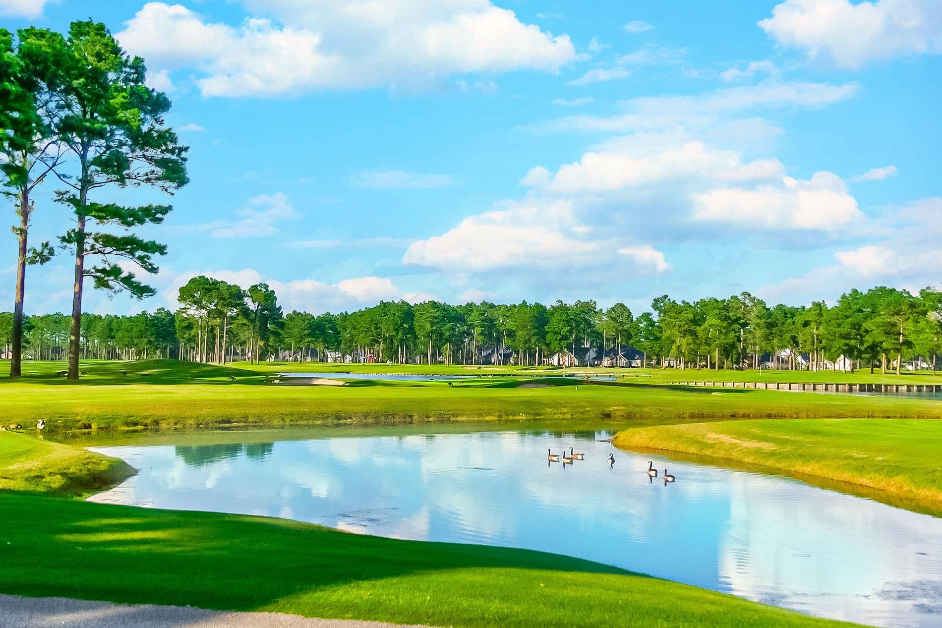 405 Heathside Street Murrells Inlet, SC 29576 - Photo 43 of 53