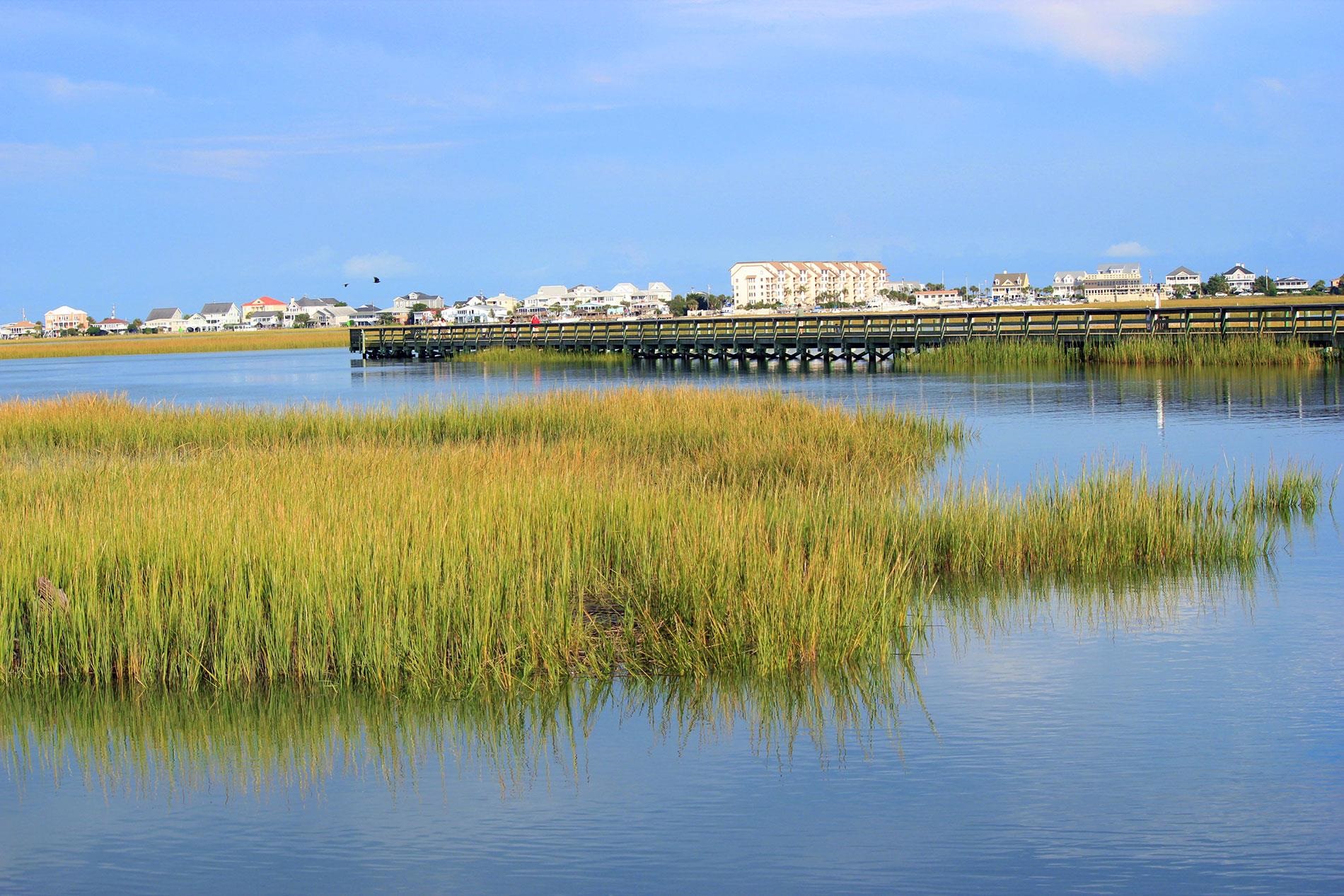 405 Heathside Street Murrells Inlet, SC 29576 - Photo 44 of 53