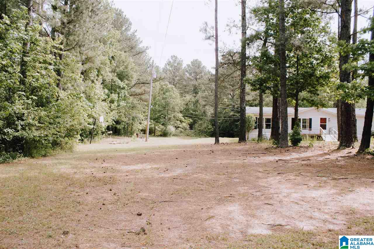 65 Mountainview Road Wellington, AL 36279 - Photo 36 of 37