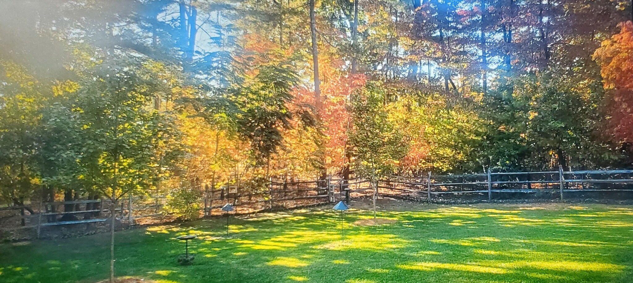 137 Shanleys Loop Ferrum, VA 24088 - Photo 46 of 47 Fall Foliage