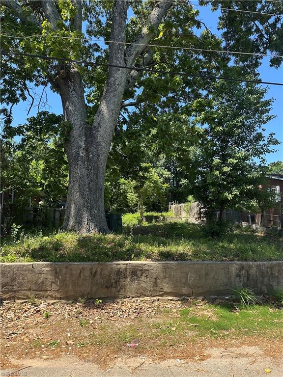 2512 Machine Street Winston-Salem, NC 27105 - Photo 2 of 2