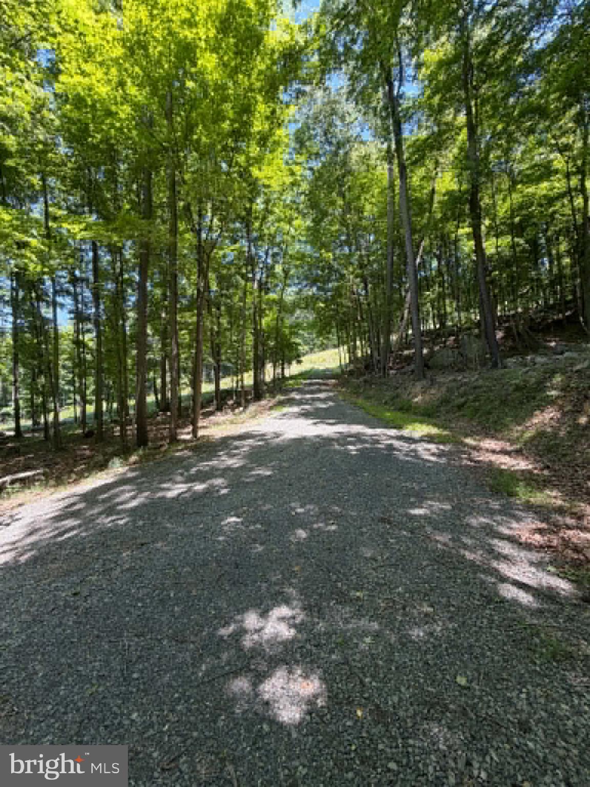 1515 Barnum Road Keyser, WV 26726 - Photo 2 of 64