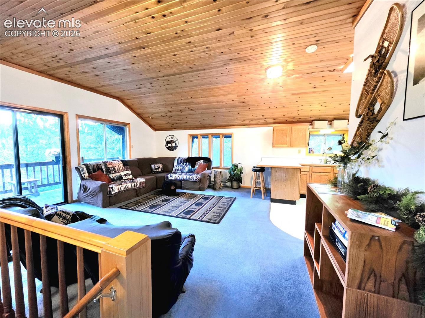 211 Pine Ridge Road Alma, CO 80420 - Photo 9 of 36 Gallery Image 9