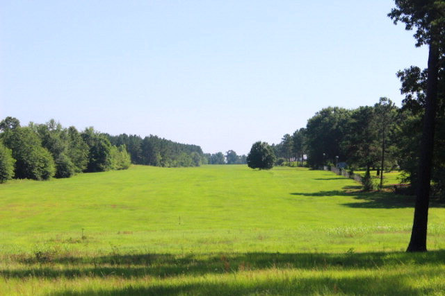 Lot 10 Burkelo Road Wagener, SC 29164 - Photo 6 of 18