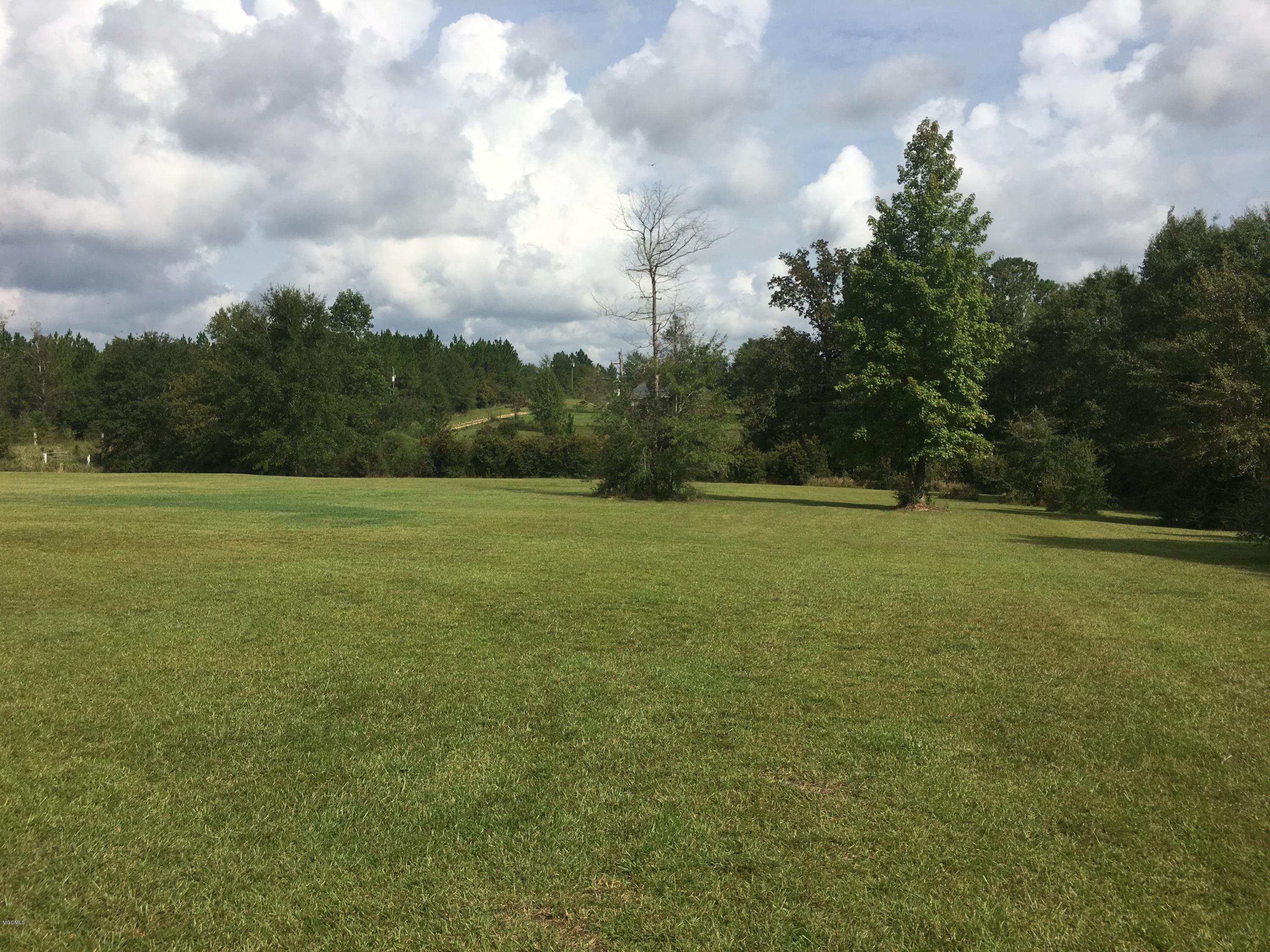 2125 East McHenry Road Perkinston, MS 39573 - Photo 7 of 32 IMG_5544