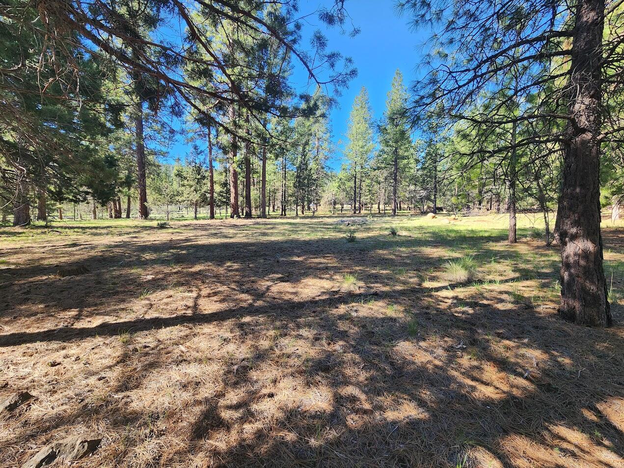 Hillcrest Road Klamath Falls, OR 97603 - Photo 13 of 21 17