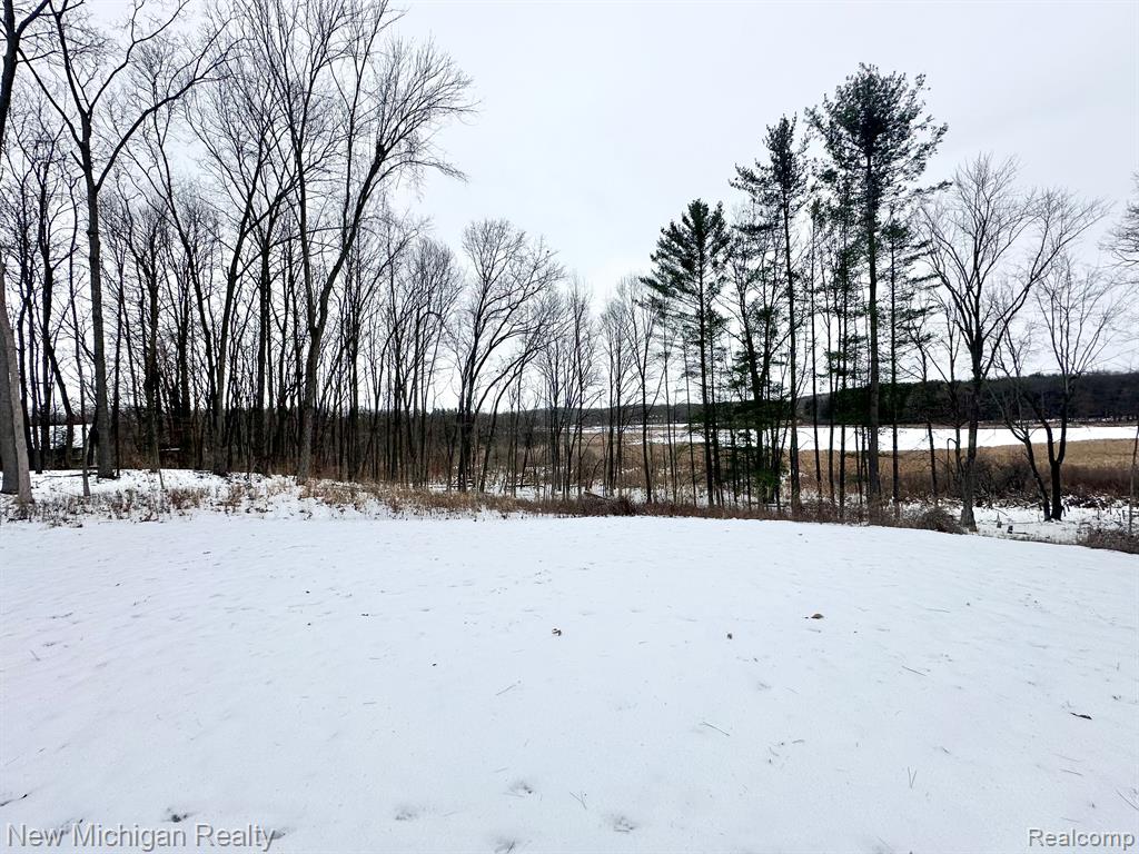 11461 White Lake Road Fenton, MI 48430 - Photo 11 of 33