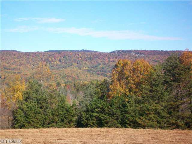 Lot 2 Big Oak Road Germanton, NC 27019 - Photo 3 of 4 Land.