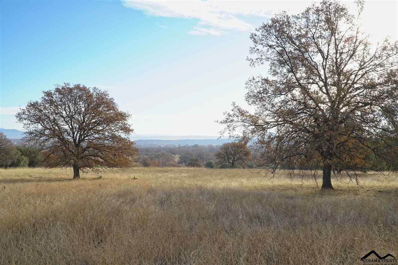 1 Riverview Ranch Road Red Bluff, CA 96080 - Photo 33 of 55 Gallery Image 33