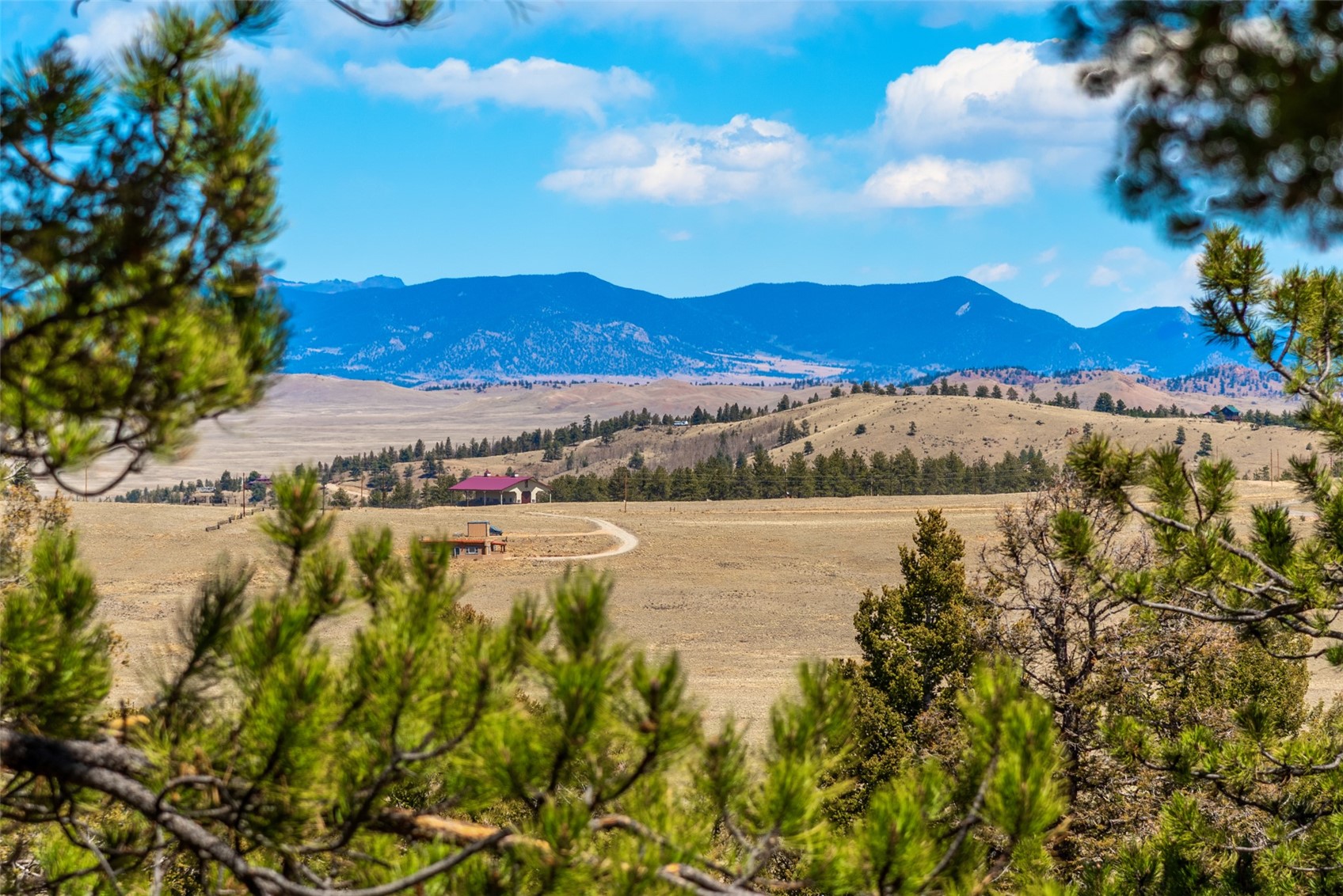 4091 Singletree Road Hartsel, CO 80449 - Photo 7 of 42 Gallery Image 7