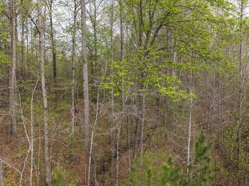 Cutbanks Road Pamplin, VA 23958 - Photo 19 of 44 Gallery Image 19