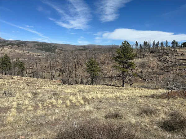 $39,999 | Lot 184 Forbes Park, Fort Garland, CO 81133