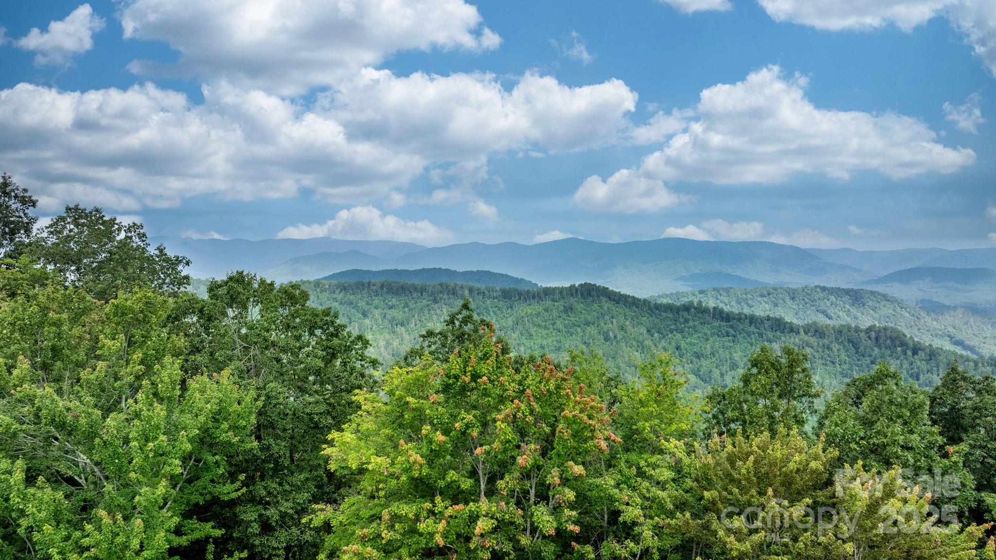 4415 Laurel Ridge Drive Lenoir, NC 28645 - Photo 3 of 48 a view of a bunch of trees and bushes