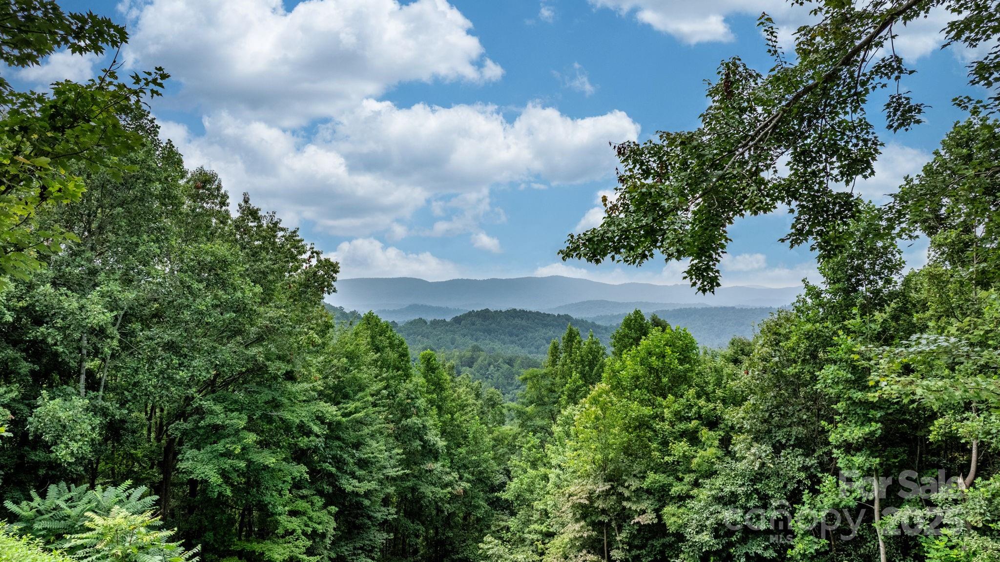 4415 Laurel Ridge Drive Lenoir, NC 28645 - Photo 39 of 48 a view of a yard with plants and a large tree