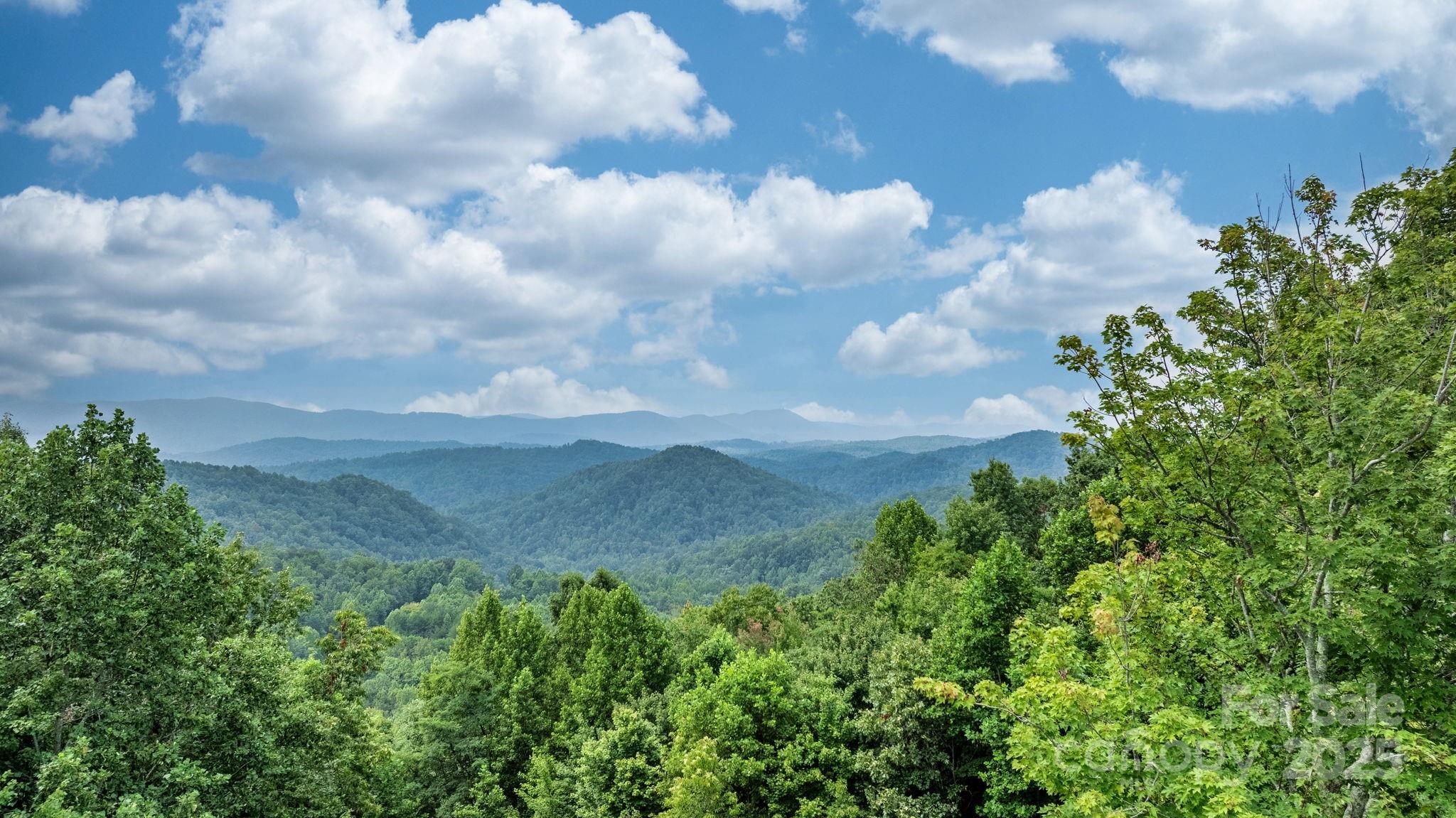 4415 Laurel Ridge Drive Lenoir, NC 28645 - Photo 40 of 48 a view of a bunch of trees