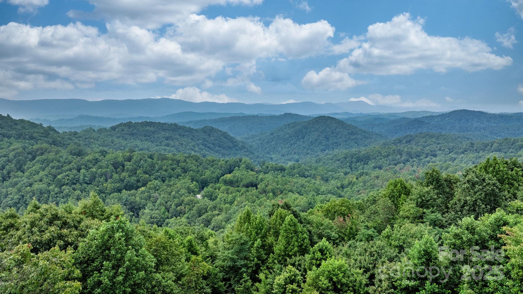 4415 Laurel Ridge Drive Lenoir, NC 28645 - Photo 41 of 48 a view of a mountain in the distance in a forest