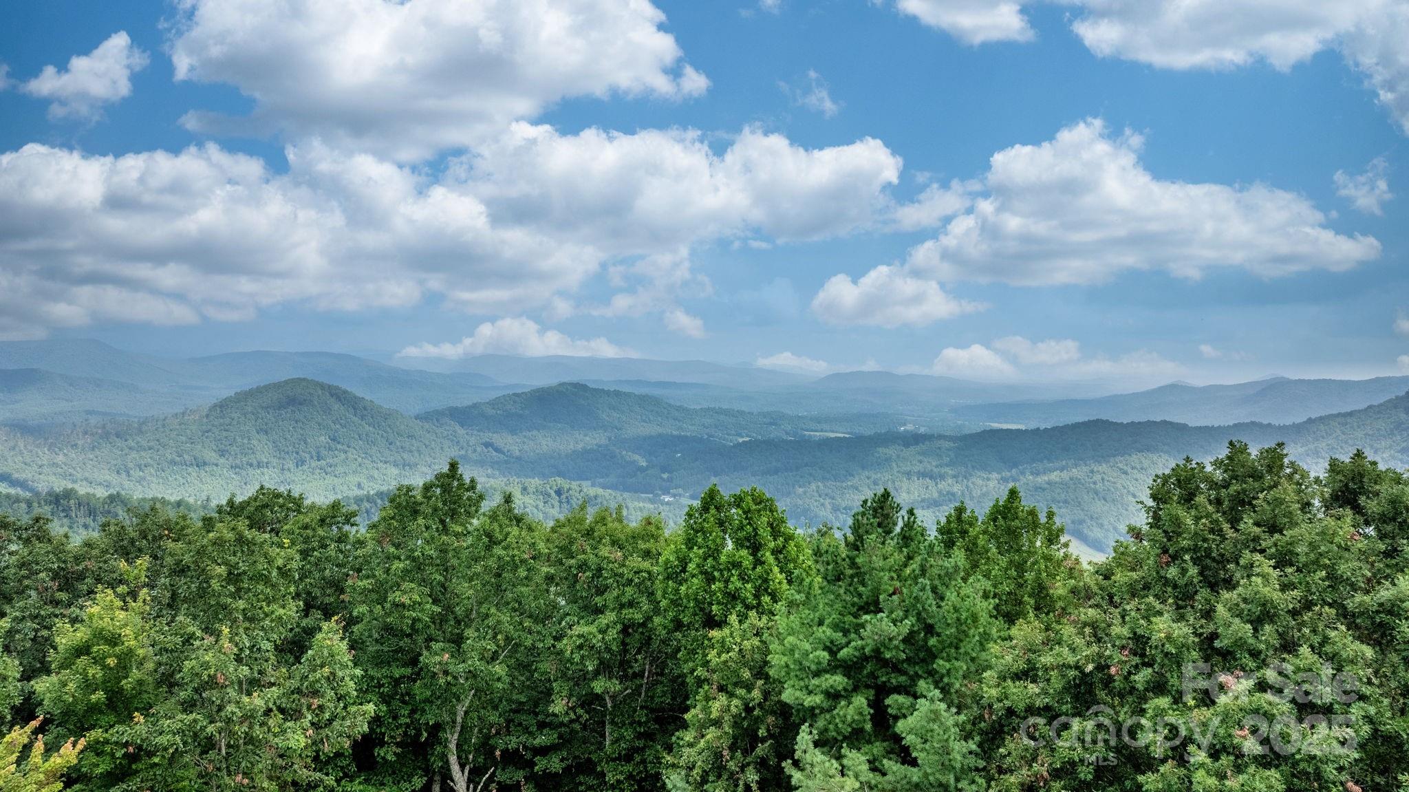 4415 Laurel Ridge Drive Lenoir, NC 28645 - Photo 42 of 48 a view of a bunch of trees