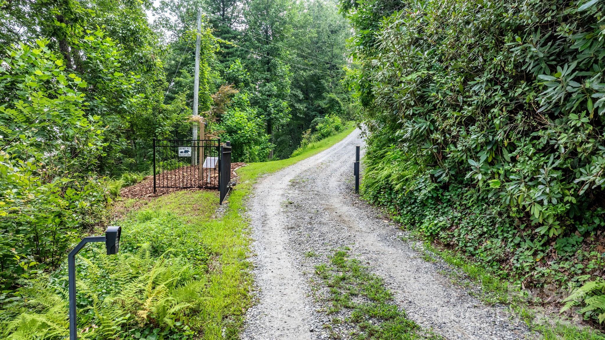 4415 Laurel Ridge Drive Lenoir, NC 28645 - Photo 46 of 48 a view of a garden with large trees