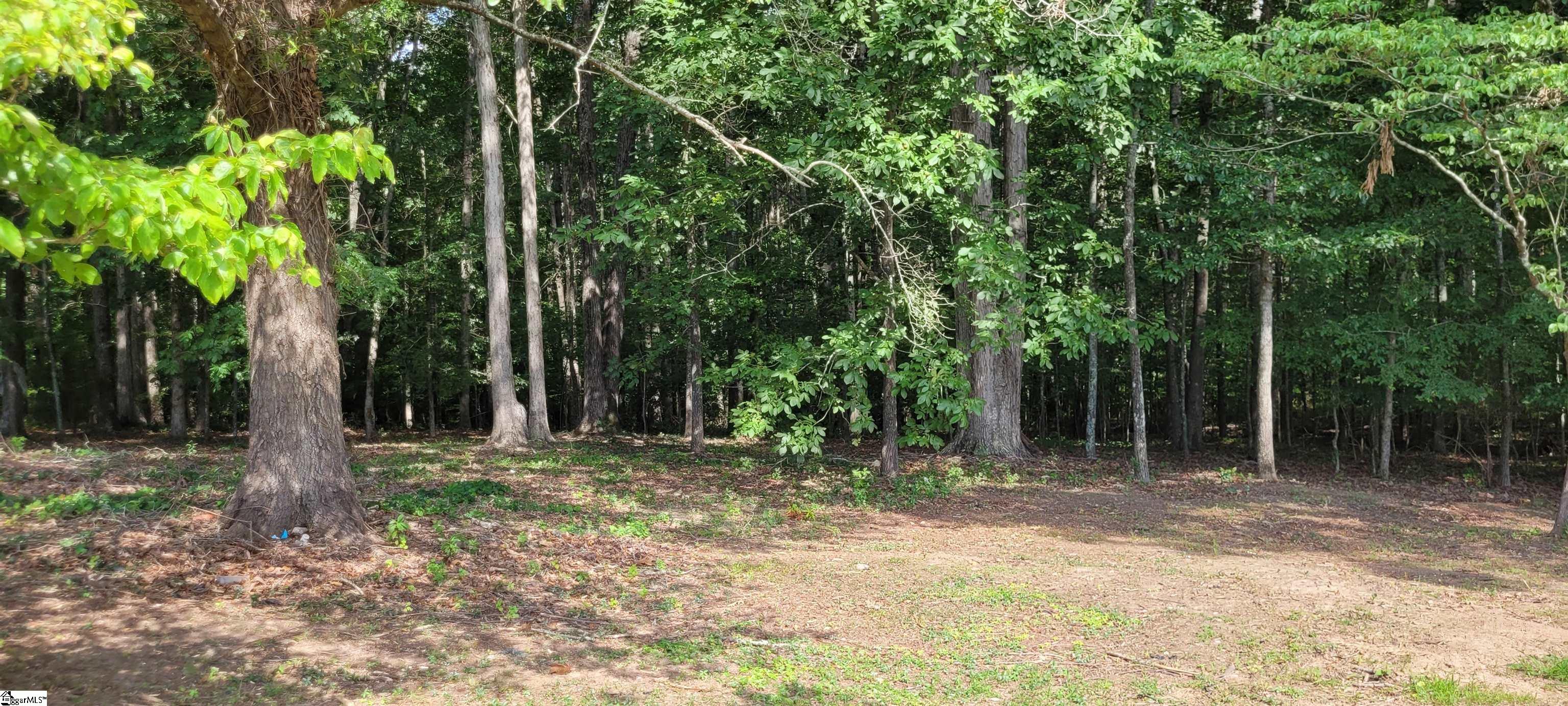 358 Pitts Road Laurens, SC 29360 - Photo 10 of 21