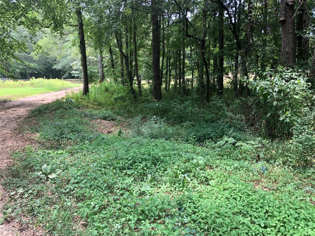 1687 Keowee Road Iva, SC 29655 - Photo 6 of 11