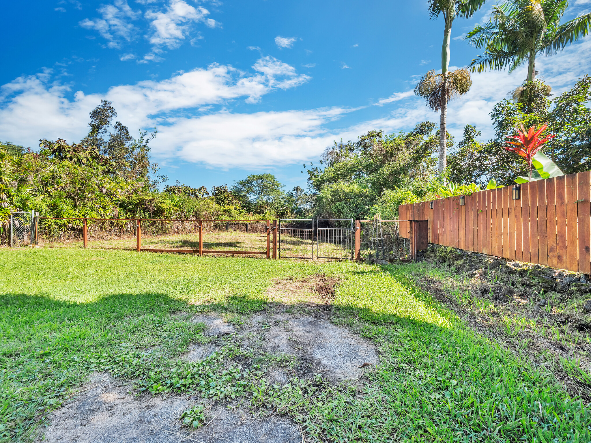 17-7658 North Kulani Road Mountain View, HI 96771 - Photo 23 of 24 a view of a backyard with tree