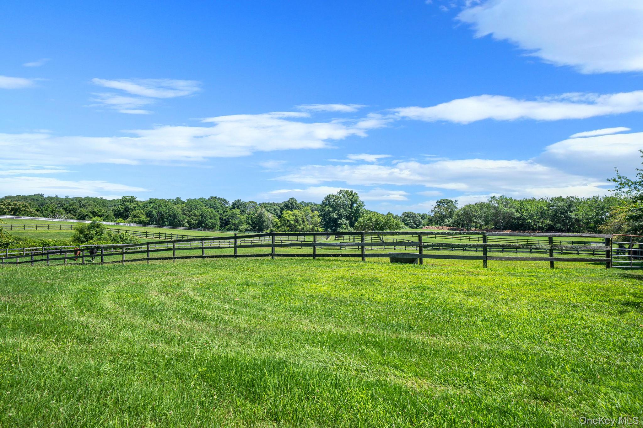 1394 Main Road Riverhead, NY 11901 - Photo 34 of 36 Gallery Image 34
