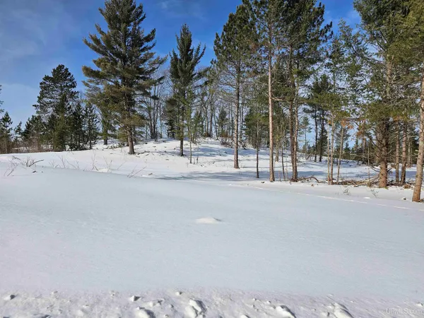 $115,000 | 75.5 Acres Off Co Road, Champion, MI 49814