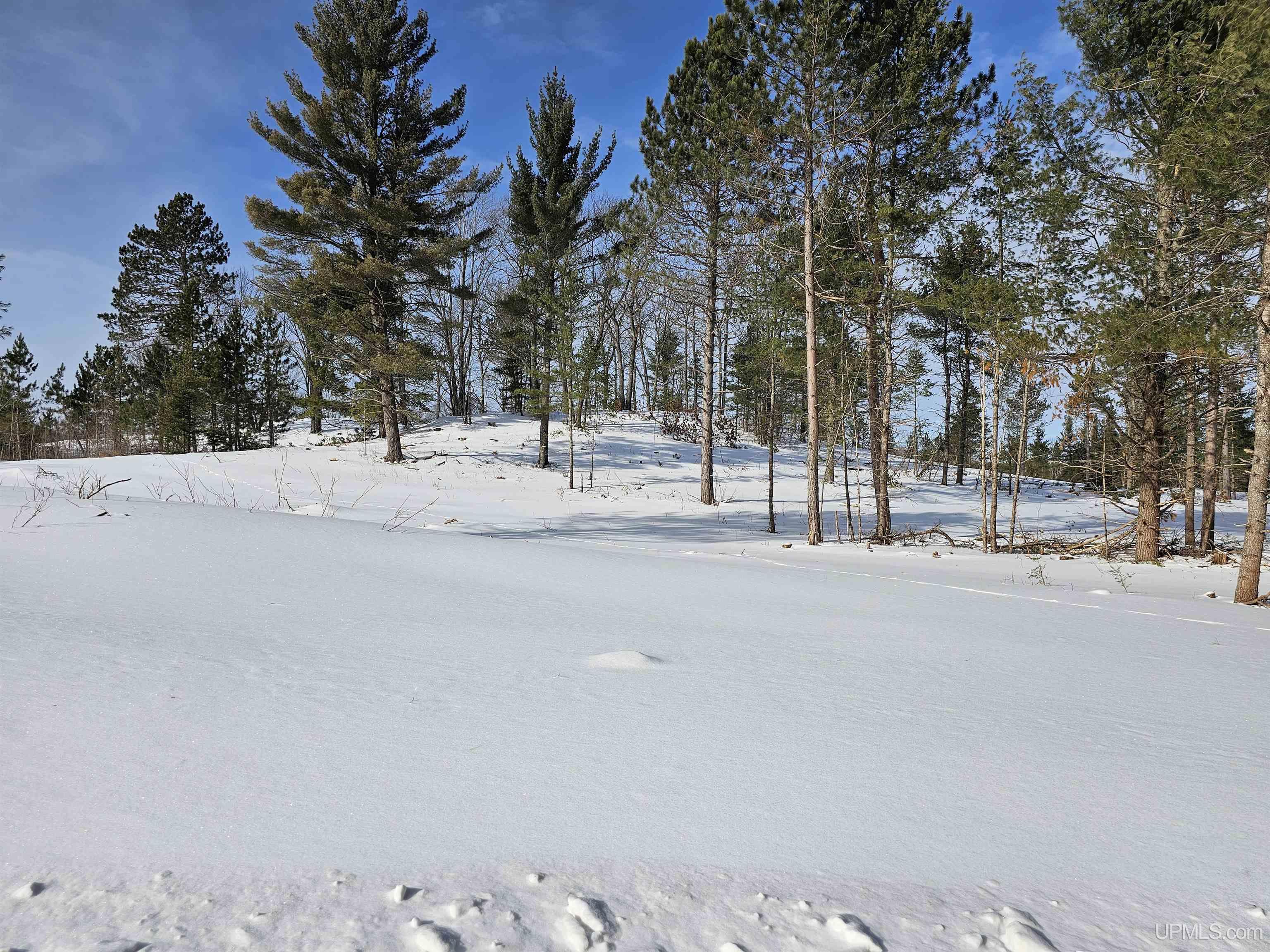 75.5 Acres Off Co Road Champion, MI 49814 - Photo 1 of 11