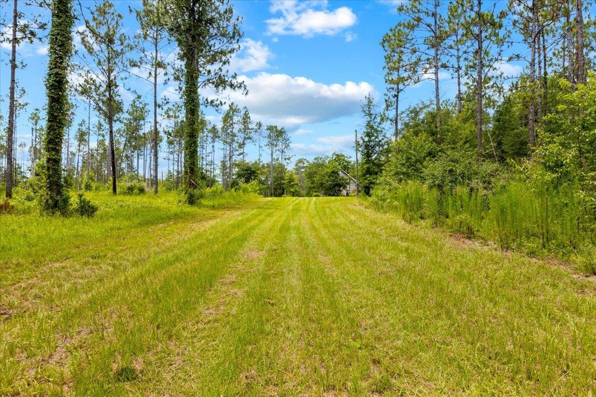 837 Northeast Raspberry Way Pinetta, FL 32350 - Photo 19 of 45