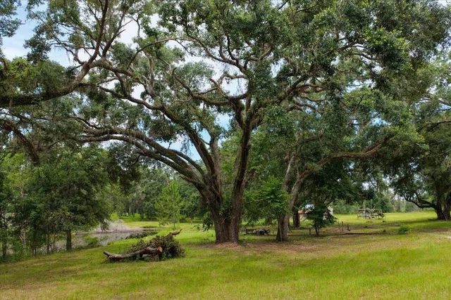 $1,100,000 | 837 Northeast Raspberry Way, Pinetta, FL 32350