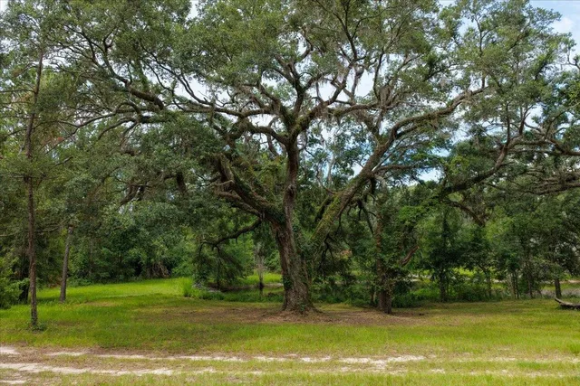 $1,100,000 | 837 Northeast Raspberry Way, Pinetta, FL 32350