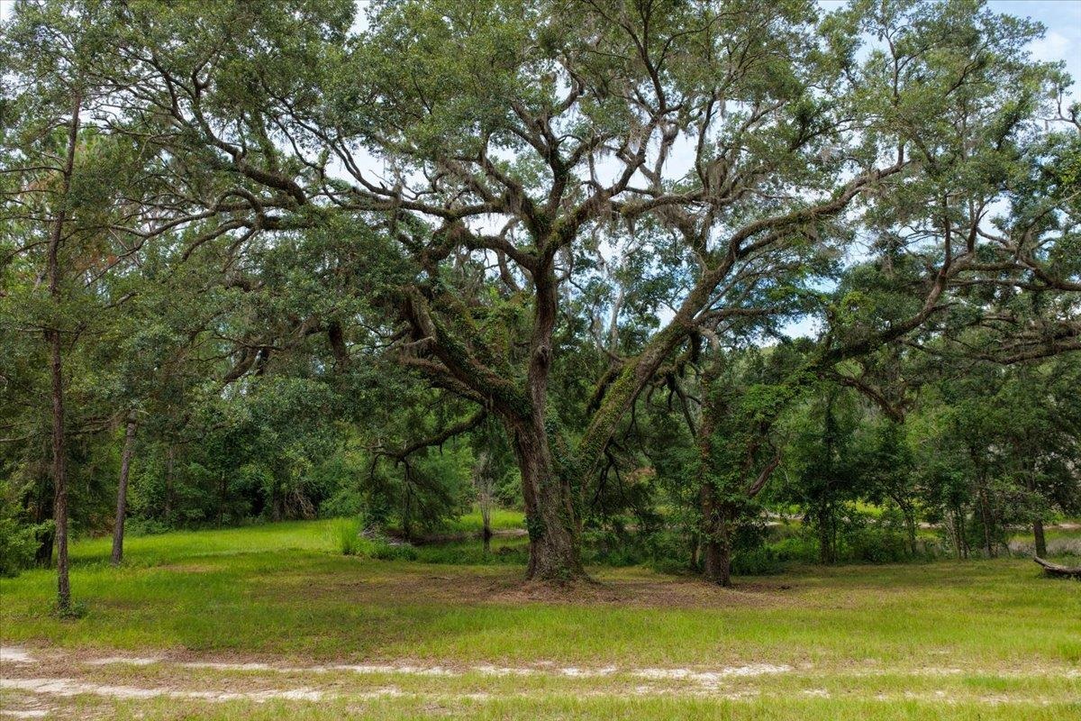 837 Northeast Raspberry Way Pinetta, FL 32350 - Photo 21 of 45