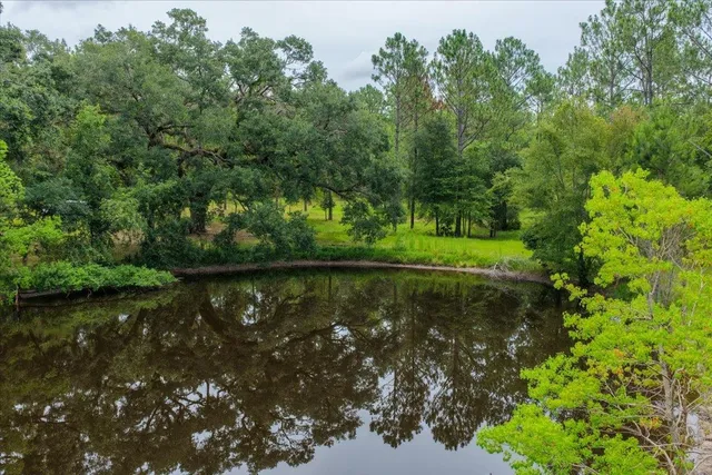 $1,100,000 | 837 Northeast Raspberry Way, Pinetta, FL 32350