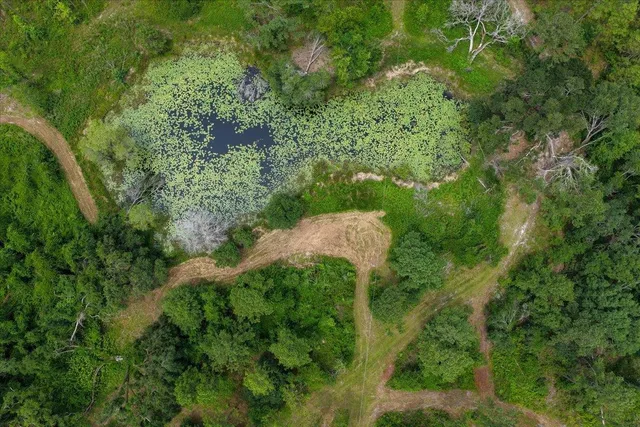 $1,100,000 | 837 Northeast Raspberry Way, Pinetta, FL 32350