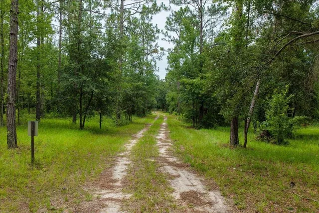 $1,100,000 | 837 Northeast Raspberry Way, Pinetta, FL 32350