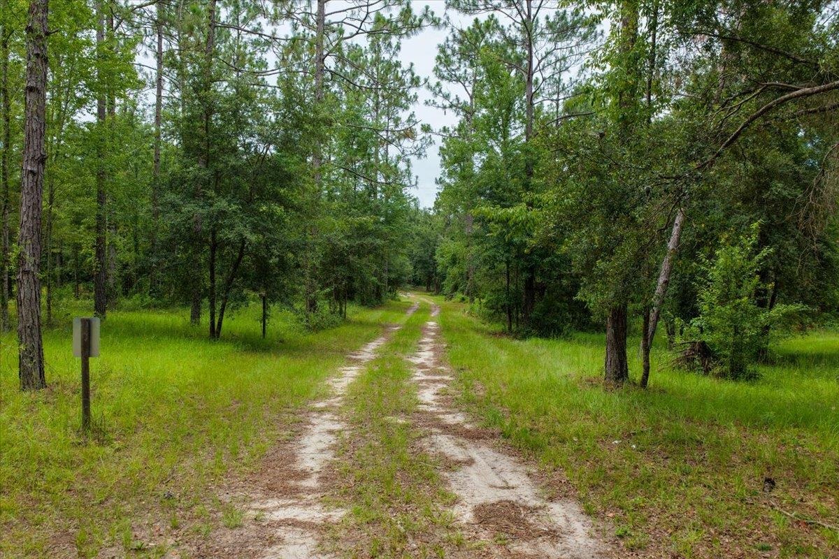 837 Northeast Raspberry Way Pinetta, FL 32350 - Photo 25 of 45