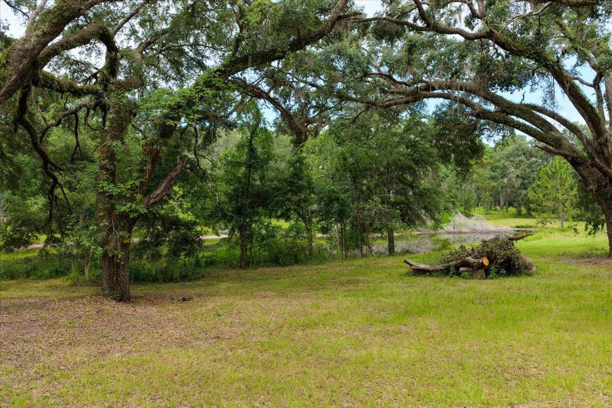 837 Northeast Raspberry Way Pinetta, FL 32350 - Photo 26 of 45